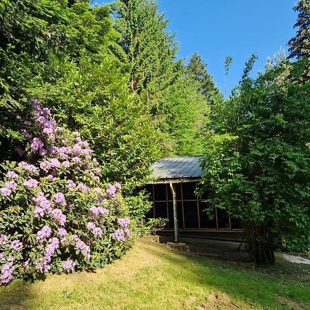 Chalet De La Foret 1 A 6 Pers Saint-Sauveur  Eksteriør bilde