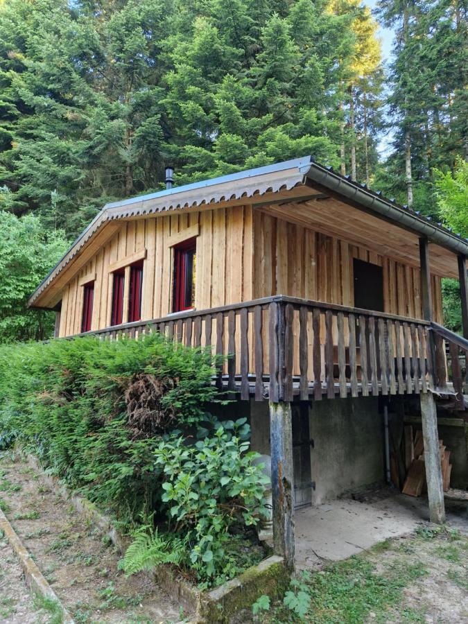 Chalet De La Foret 1 A 6 Pers Saint-Sauveur  Eksteriør bilde