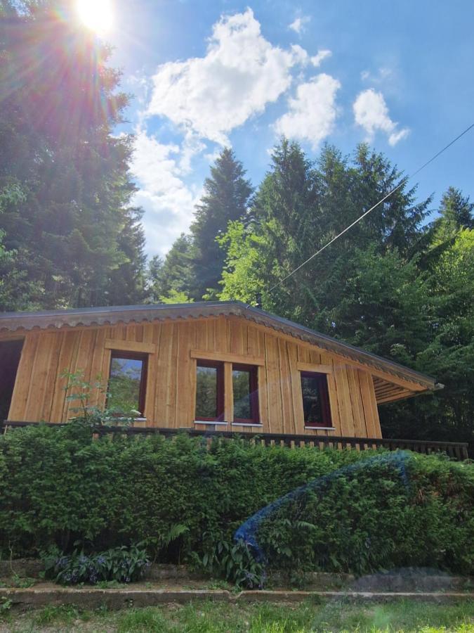 Chalet De La Foret 1 A 6 Pers Saint-Sauveur  Eksteriør bilde